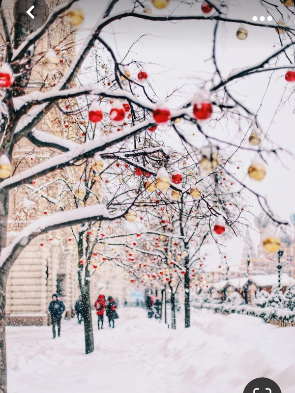 Screenshot_20231023_214559_Pinterest