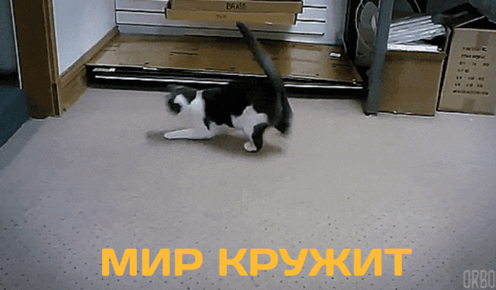 Репорт о мефедроне в Киеве Репорт о мефедроне в Киеве