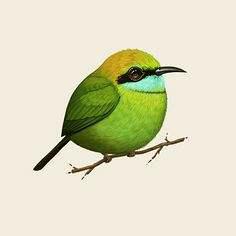 beebird.eth Ethereum Name Service (ENS and .eth domain) PFP
