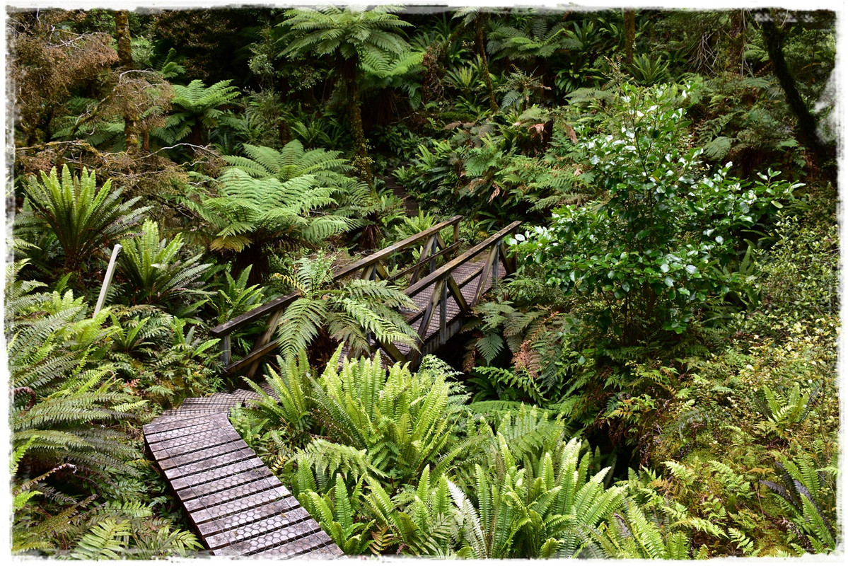 Fiordland NP: Humpridge Track (febrero 2021) - Escapadas y rutas por la Nueva Zelanda menos conocida (18)