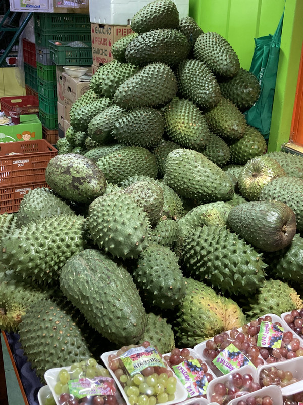 8D0D2BDF-7950-4935-BB31-D48BA2A2B2BD