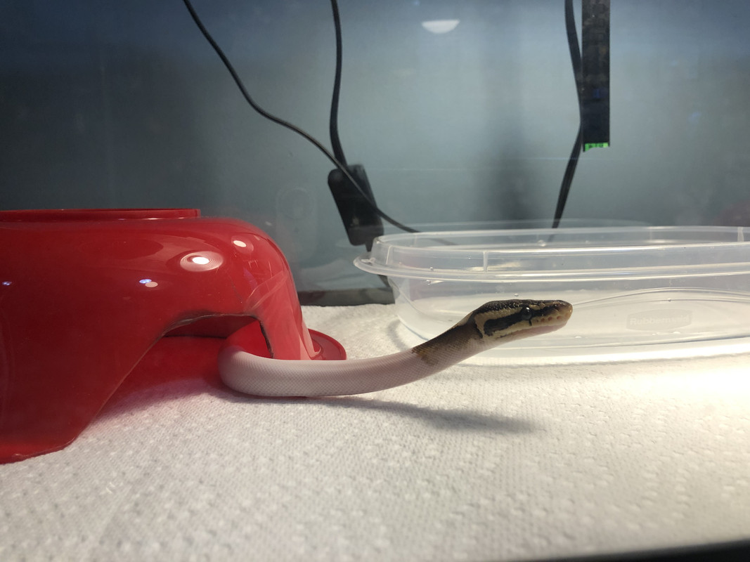 FF26FFE1-C745-4709-A76B-7CA4C827ED66