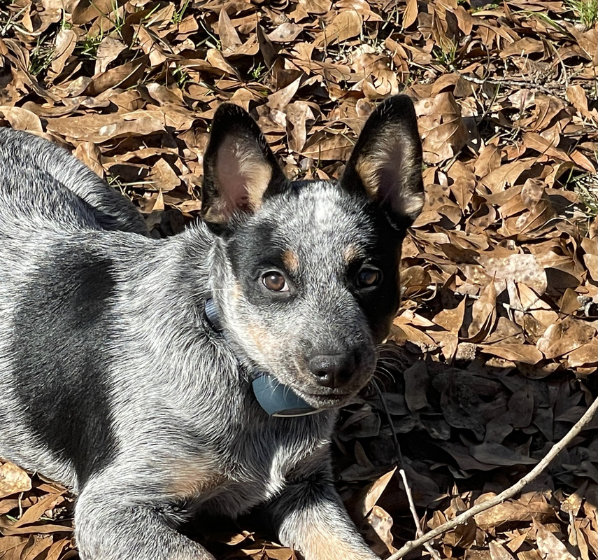 965848F0-3BF3-432F-825F-DB7BC93C996A