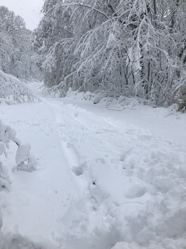 EAFECBCE-6A04-40DA-85FC-1BAC972A5FC7