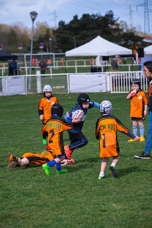 tournoi-de-latlantique-2026-adonis-griffon-138-55180399527-l