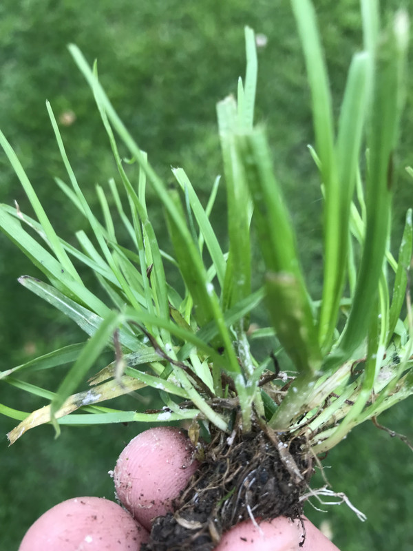 8178E01F-342A-4B59-8169-37F3C6E48B6B