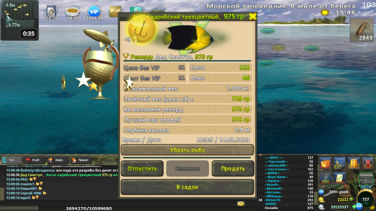 Охотник на Ведьм 13 - Ангел карибский трехцветный