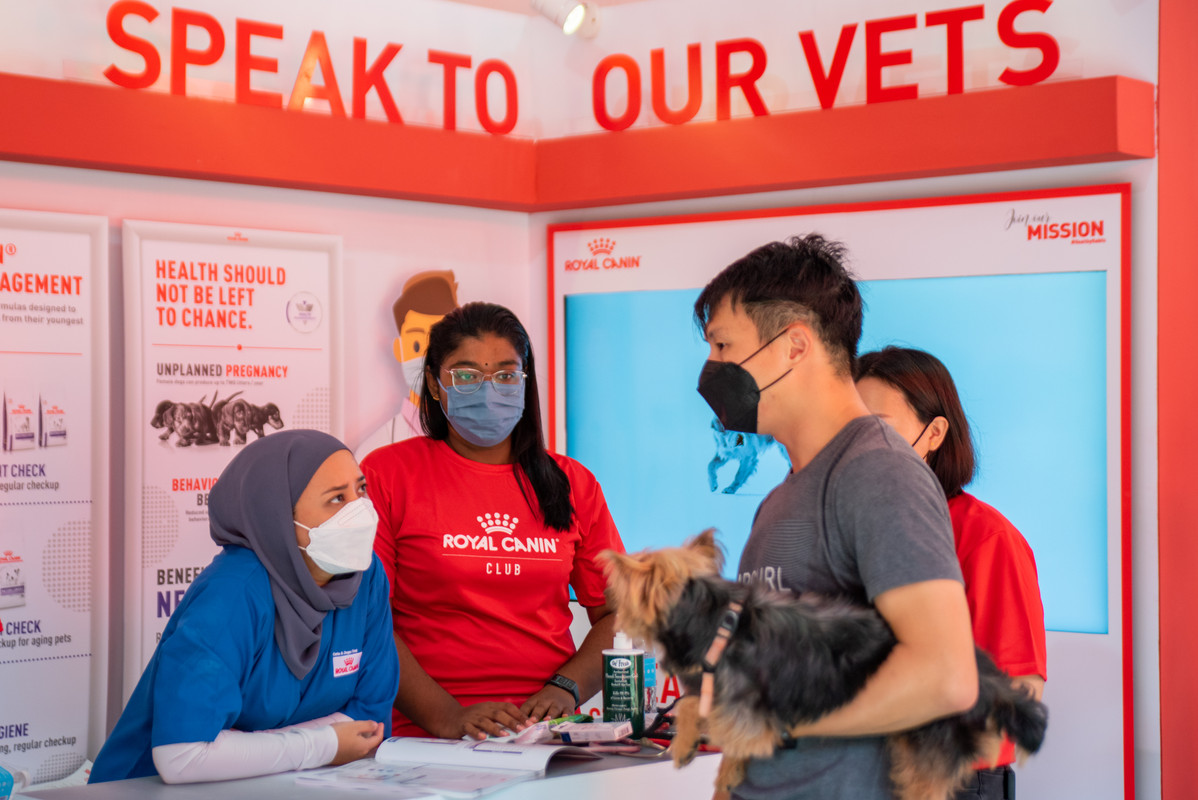 Paws-Day-Out-Pet-owners-speaking-with-Royal-Canin-vets-for-a-general-health-and-nutritional-assessm