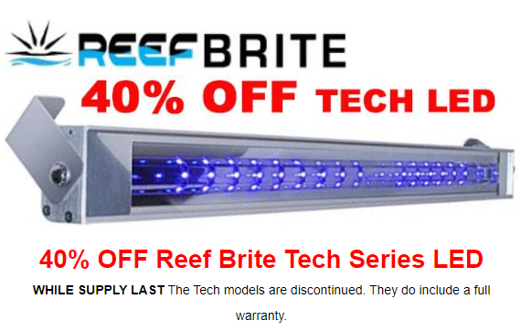 reefbrite.png