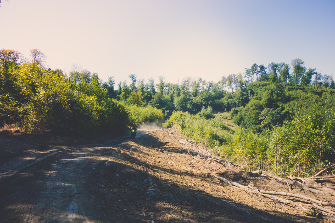 Enduro trail through the forest