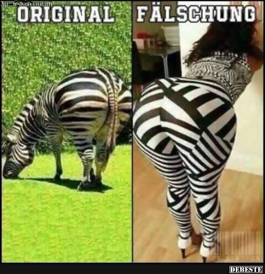 blacknwhitezebrabum.jpg
