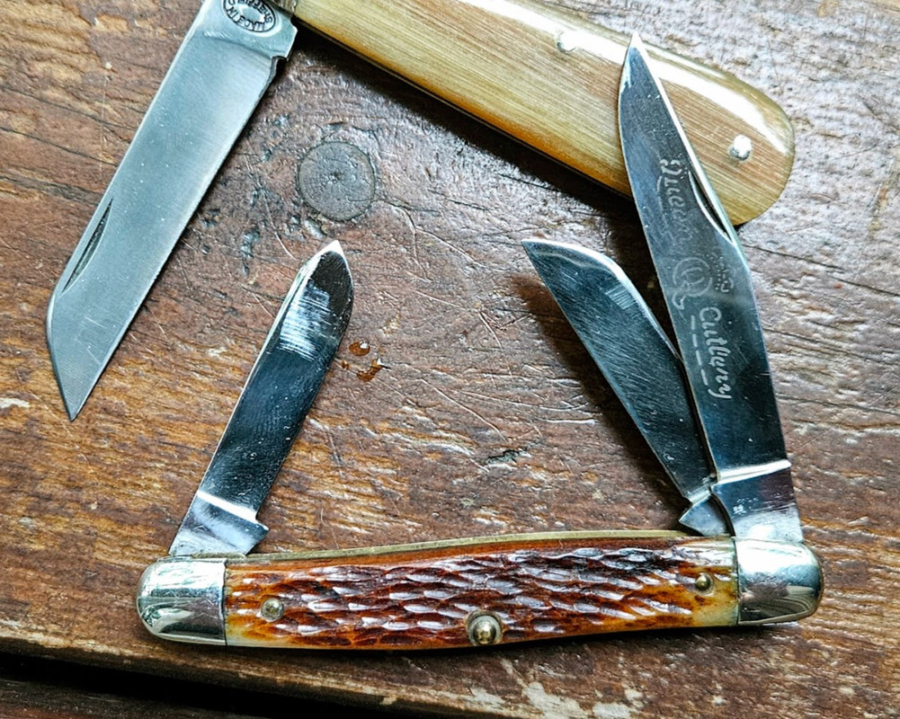 20240721_104718-EDIT (1)