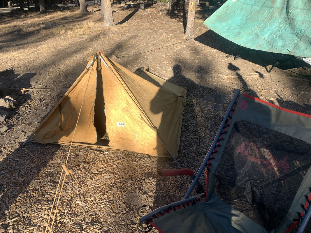 5337B3C3-9EB6-4ECE-B42A-6B3FBF153B2D