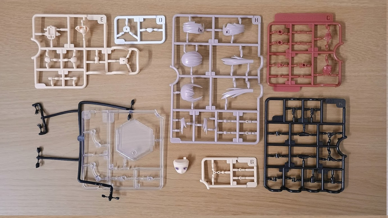 IMG 20250209 111506095 AE