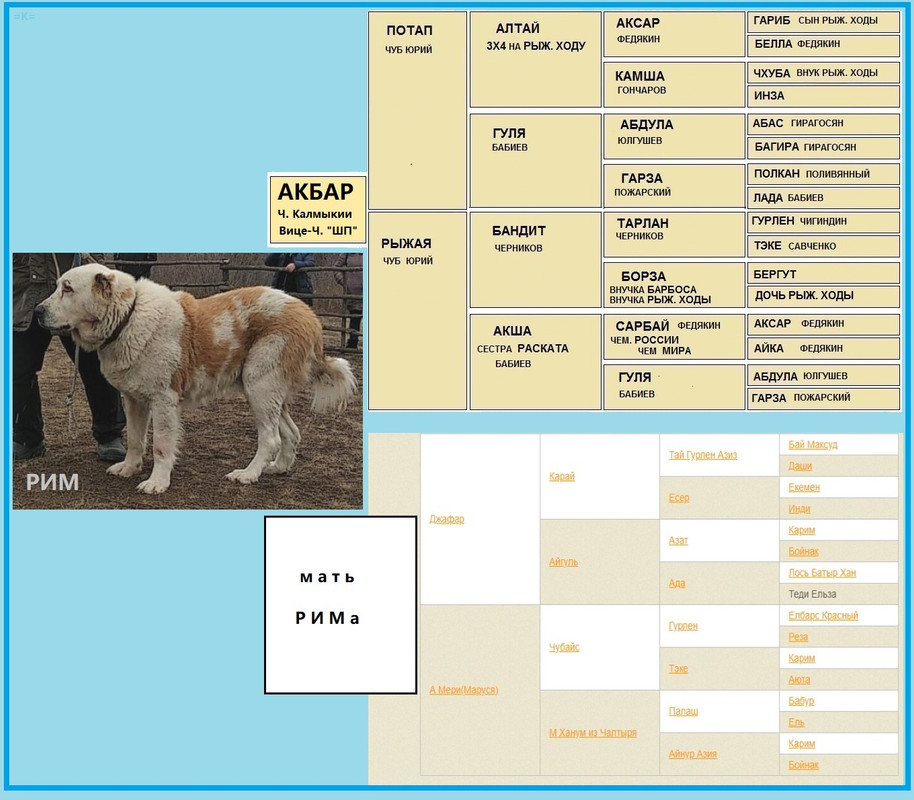 РИМ ( ЗАХАР х дочь ДЖАФАРА ) 1