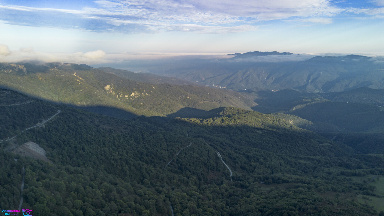 DJI-0307-1.jpg