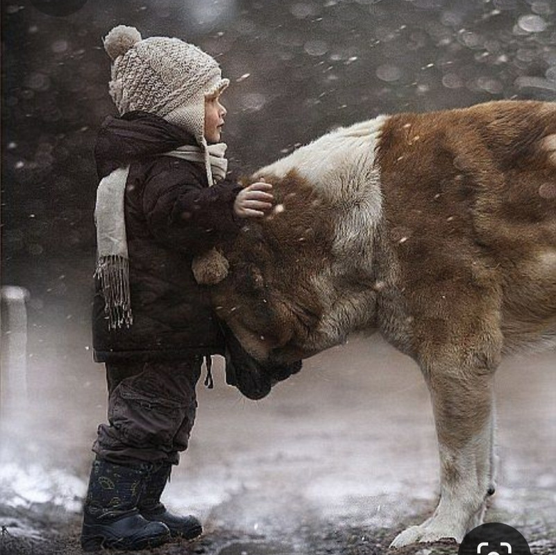 Screenshot_20231030_202444_Pinterest