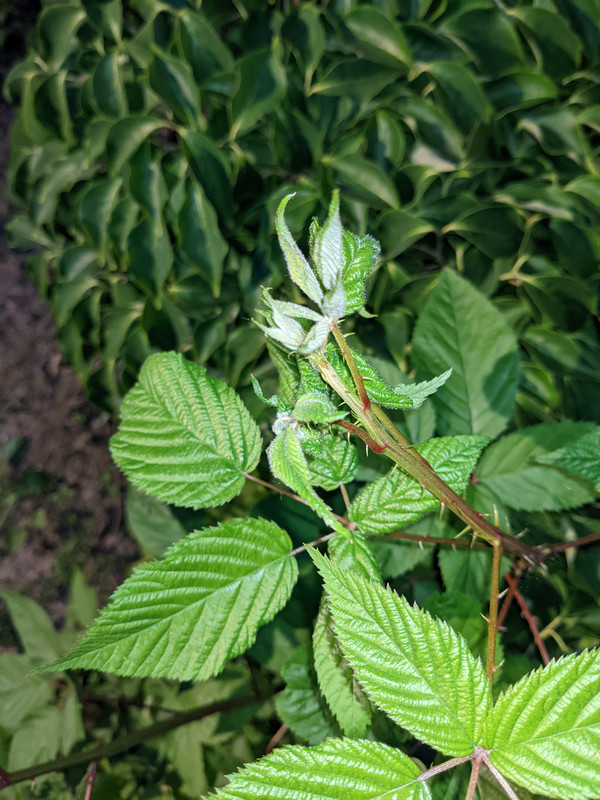 PXL_20220606_004641803