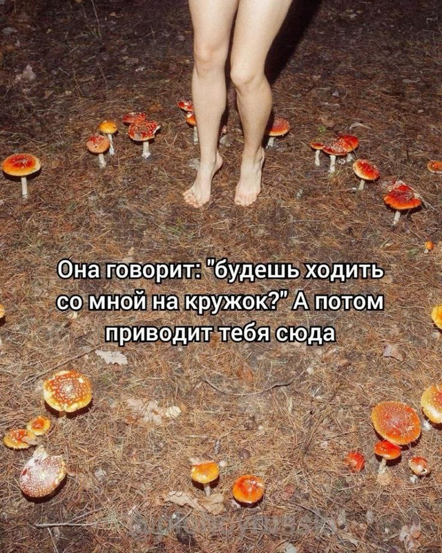 https://i.postimg.cc/fbycpL2F/photo-2025-06-15-12-59-10.jpg