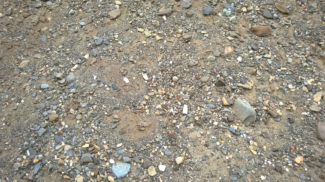 Chasse aux météorite dans une moraine Surface-gravi-re-Dub