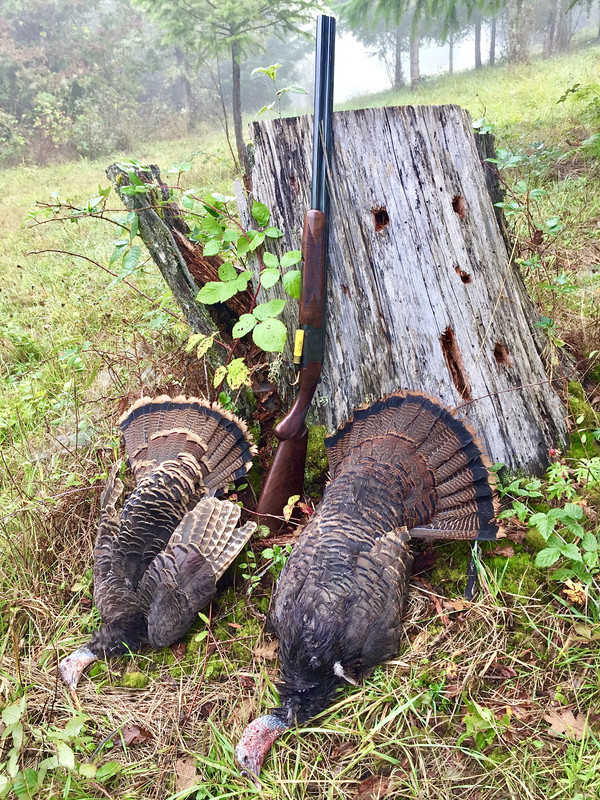 F99296DE-0AC9-44DF-AEB9-9F324E5A36CE