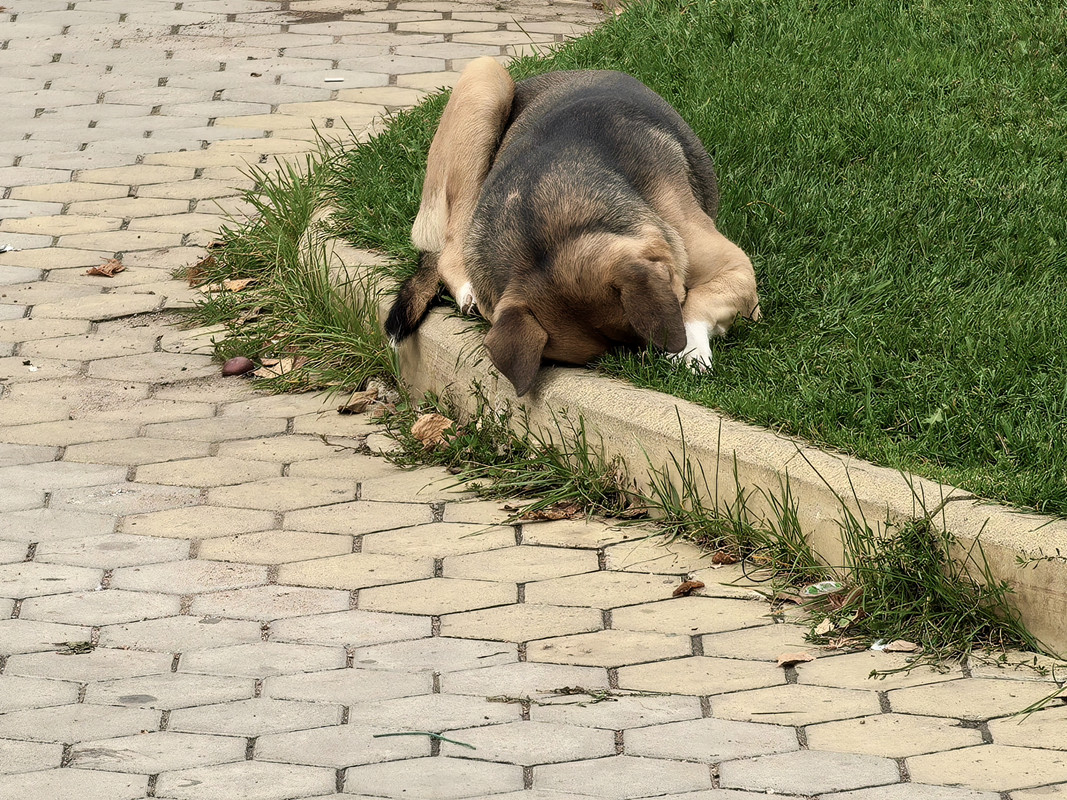 Октябрь уж наступил, 