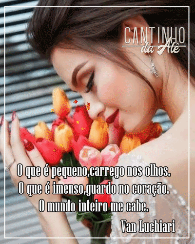 oie-overlay.gif