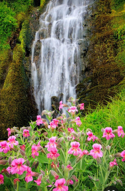 Screenshot_20240512_184548_Pinterest