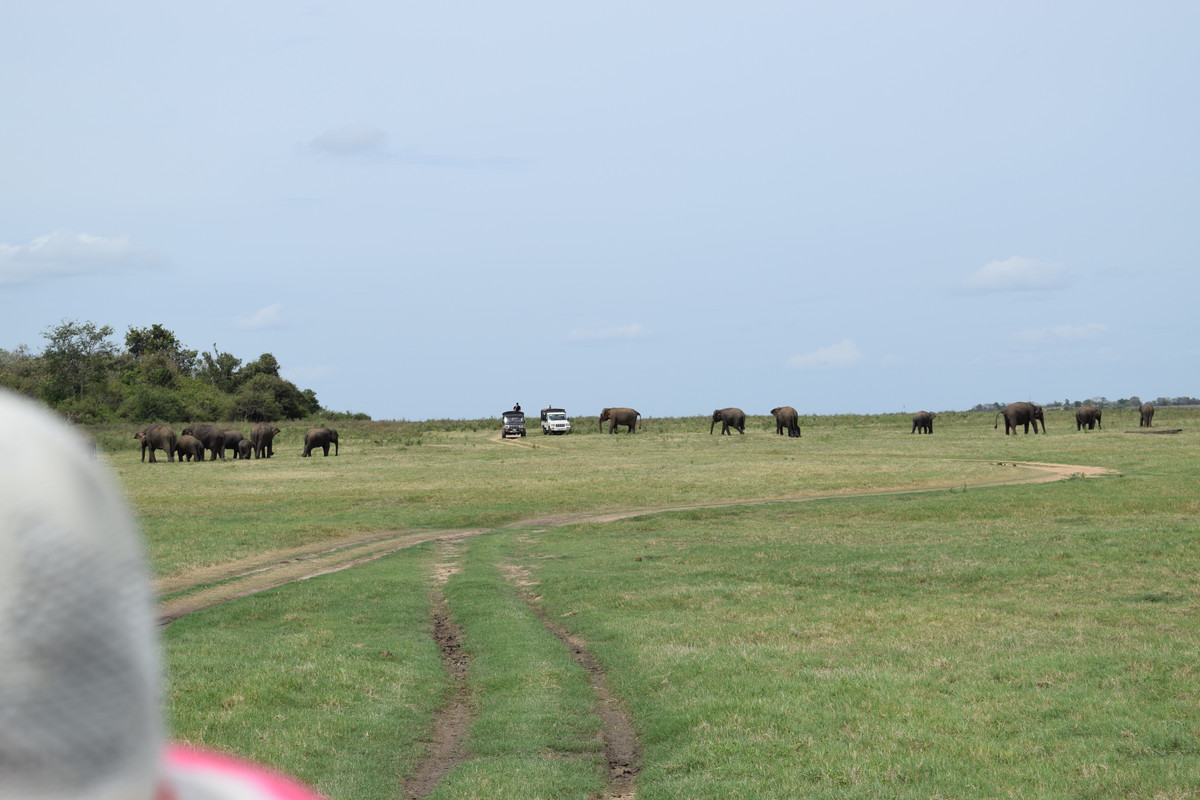 127002-AC-27-AF-494-E-9779-2-EA66-D1-C1-