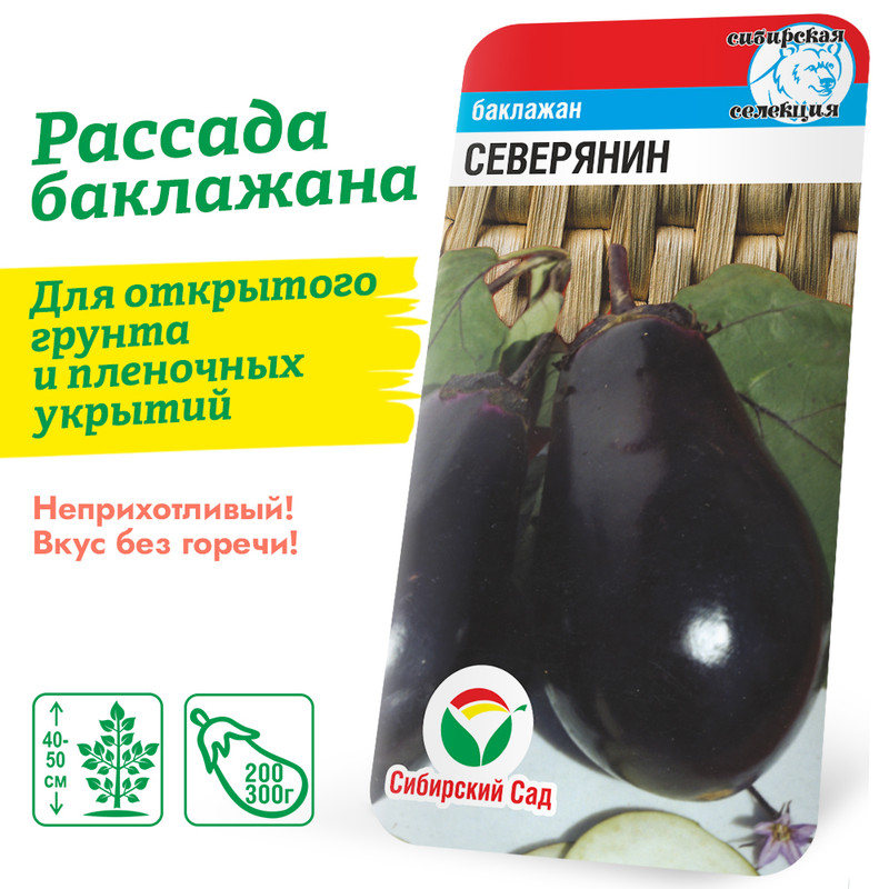Баклажан Северянин