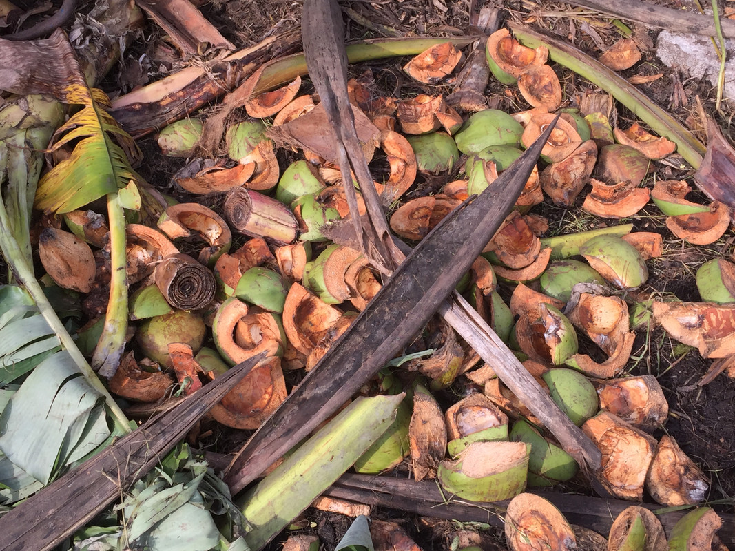 9A90143D-0FE1-4DB0-B3F0-DF4BA66E2E8F