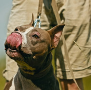 Screenshot_20230624_175029_Gallery