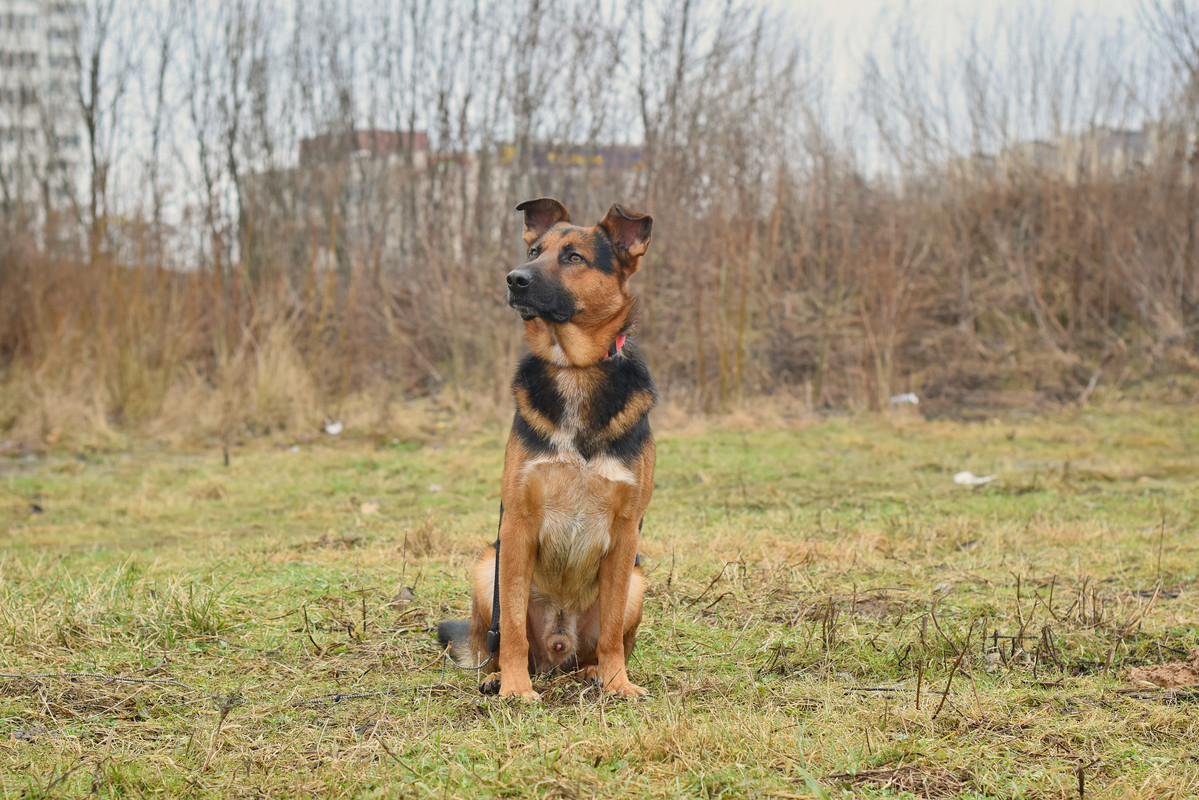 IMG_20200112_155650_785