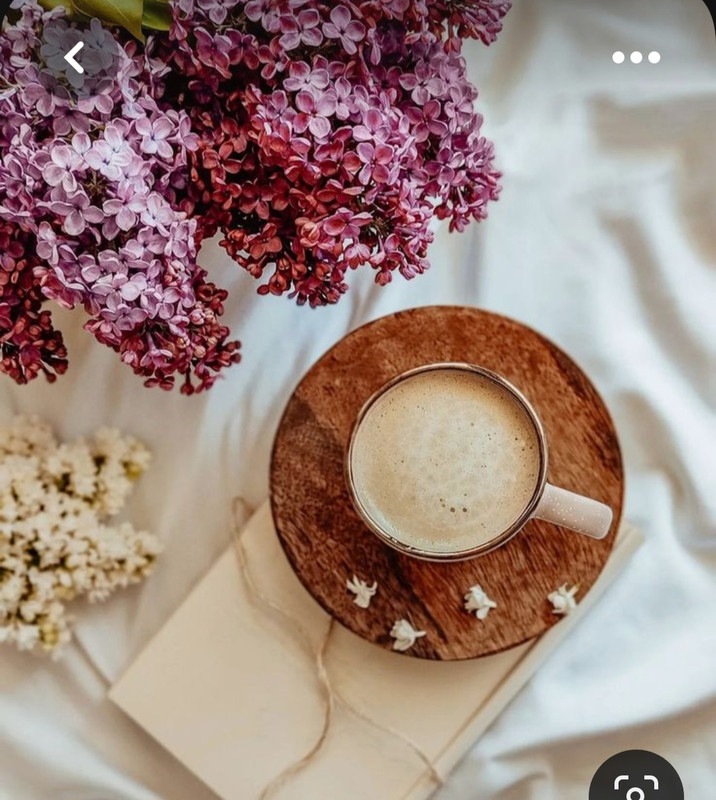 Screenshot_20230603_222123_Pinterest