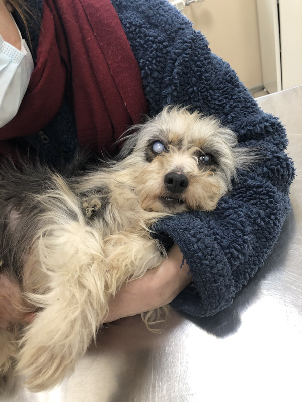 250E468B-6C15-4808-AE54-0D828E74AFF1