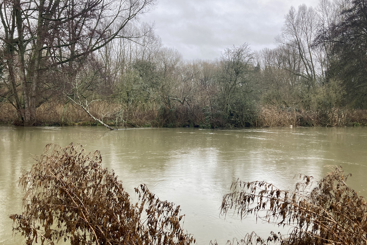 DF4CBC37-197D-4FDB-BEBB-C44DAB352DA4