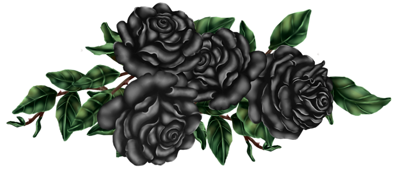 IPD_WP_Element (161)