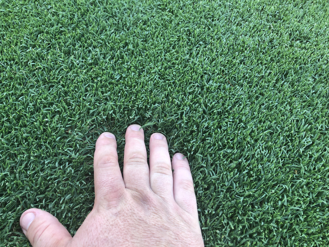 A6D30BE4-6FC7-47AD-9B83-E919D4529F8D