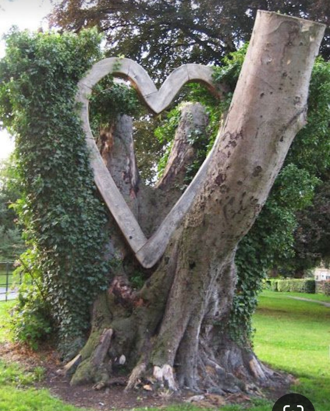 Screenshot_20240212_202150_Pinterest