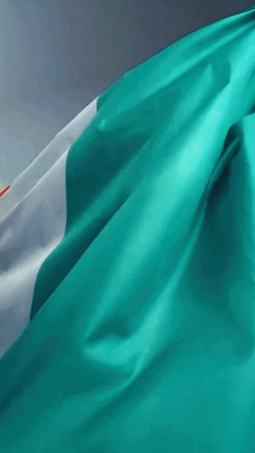 Mercedes-AMGF1-BR-1891170134850519045.gif
