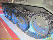 IMG-7269