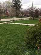 C5BA8212-3DEB-4ECF-A6A2-5A4A012B7E21