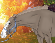 16614EC9-9C92-498E-A8BC-B0FD7A47A732