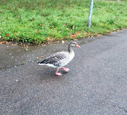 IMG-20191006-214621