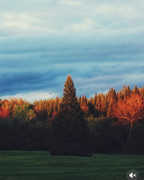 photo 22 2026 01 16 22 06 21