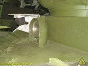 IMG-3333