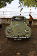 IMG-3555