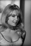 joey-heatherton-c36