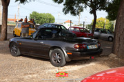 IMG-3536