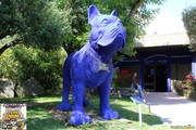 IMG-5789